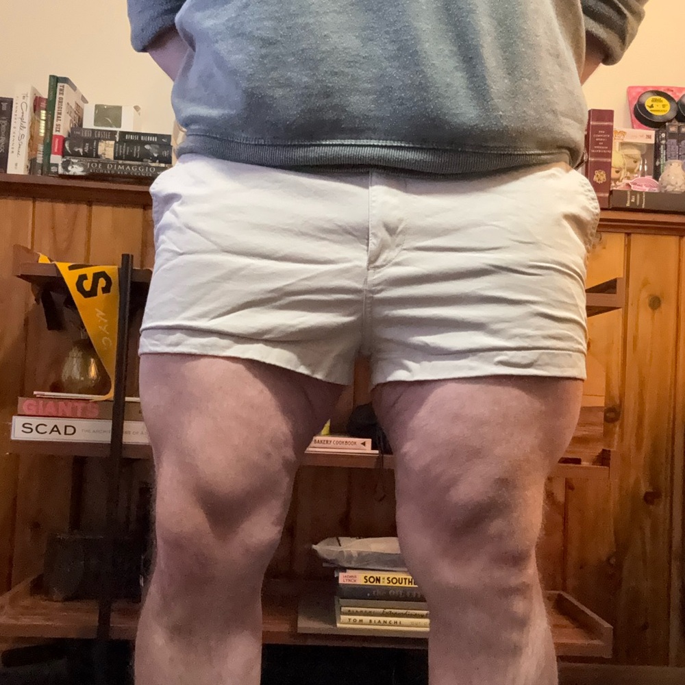 Khaki Chubbies 2” Shorts